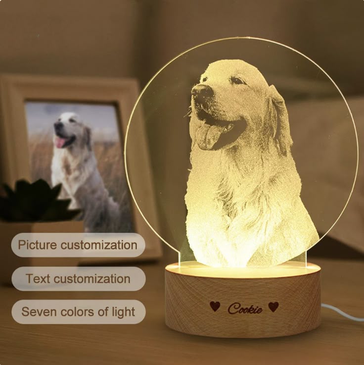 Custom Crystal Ball Photo LED Night Light 