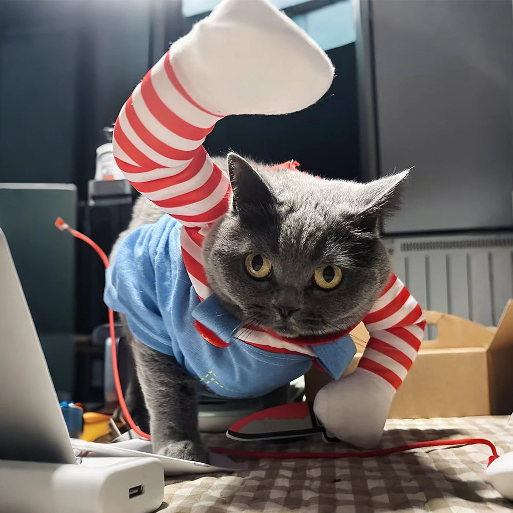 Halloween Pet Costume 