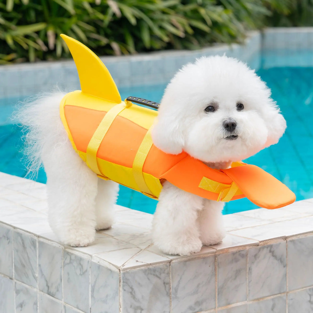 Pet Swimming Life Jacket Safety Vest for Dogs Swim Adjustable in Pool Surfing Drifting Dog Clothes Life Rescue Vest with Tail