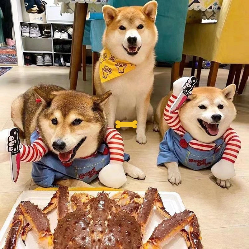 Halloween Pet Costume 