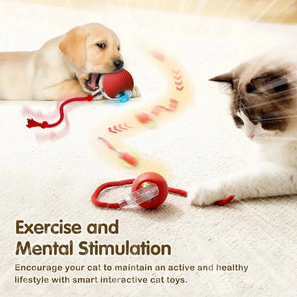 LEMEENQ Cat Interactive Ball Toy Auto Rolling Ball with Tail Rechargeable Smart Pet Interactive Toy Intelligent Mouse for Cat