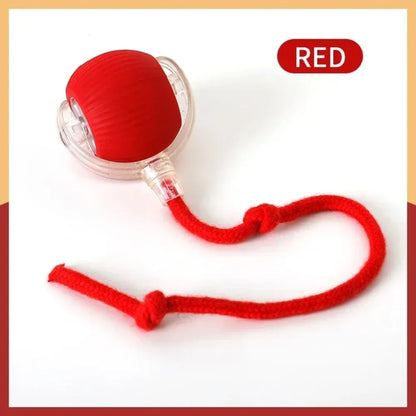 LEMEENQ Cat Interactive Ball Toy Auto Rolling Ball with Tail Rechargeable Smart Pet Interactive Toy Intelligent Mouse for Cat